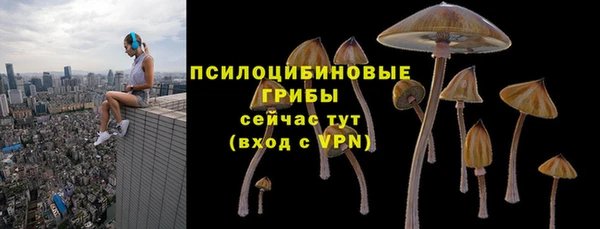 ПСИЛОЦИБИНОВЫЕ ГРИБЫ Сосновоборск
