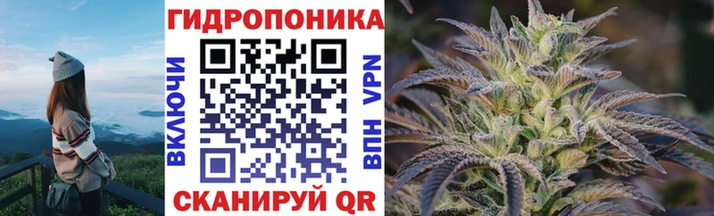 Конопля планчик  darknet наркотические препараты  Карачев  где купить наркоту 